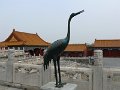 Beijing (019)